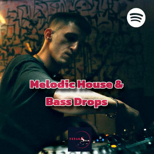 MELODIC HOUSE & BASS DROPS 2025