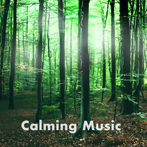CALMING MUSIC: ambient to lean back
