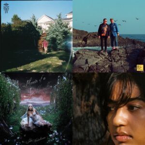 Indie Folk Fusion