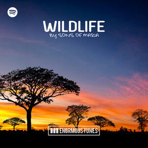 Wildlife by Sons Of Maria cover