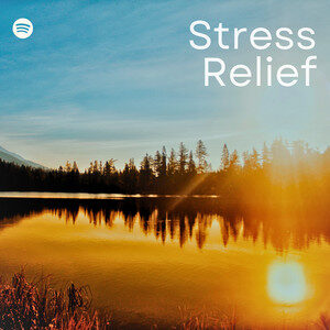 Stress Relief cover