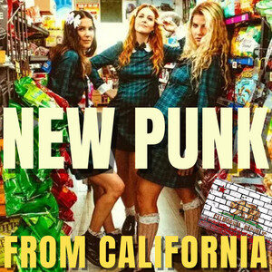 NEW PUNK FROM CALIFORNIA cover