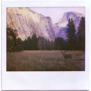 Influence cover