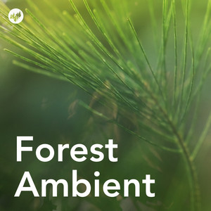 Forest Ambient : peaceful nature sounds with ambient music
