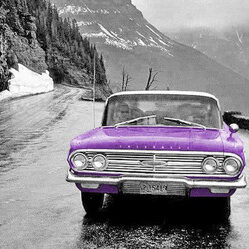 Transviolet’s Roadtrip Jams