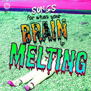 songs for when your brain is melting cover