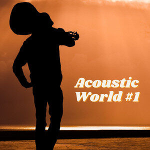 Acoustic World #1 cover