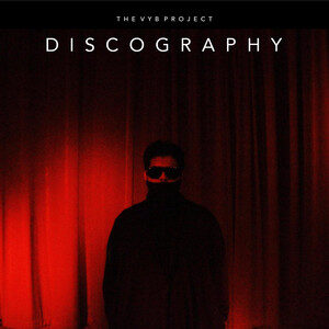 The VYB Project – Discography cover
