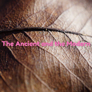The ancient and the modern: a bridge between the ages! cover
