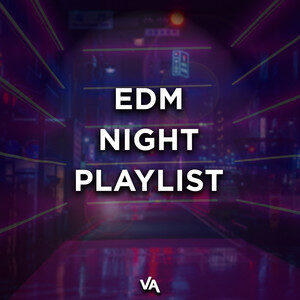 VARGENTA | EDM Night Playlist cover