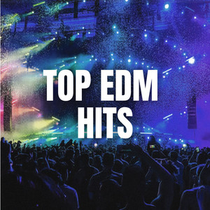 TOP EDM HITS 2024