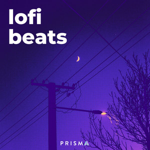 lofi beats 2025
