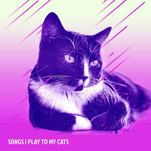 Songs I Play To My Cats