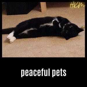 Peaceful Pets cover
