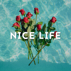 Nice Life cover