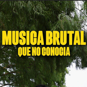 Musica Brutal (que no conocía) cover