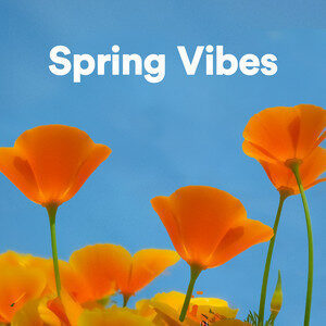 Spring Vibes 2025 π± cover