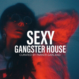 Sexy Gangster House cover