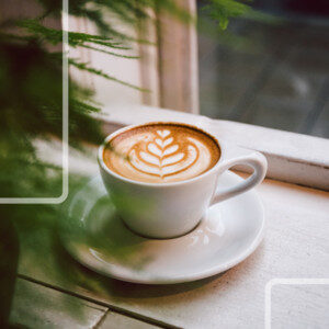 Coffee Hiive cover