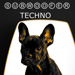 Subwoofer Techno