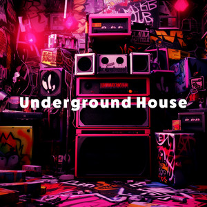 Underground House 2025 🔊 UK House, Tech House & Funky House