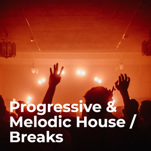 Wilde Sides : Progressive Melodic House / Breaks
