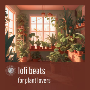 lofi beats for plant lovers