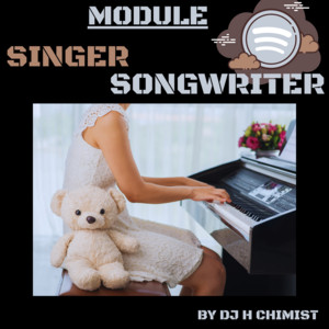 MoDuLe Singer-Songwriter