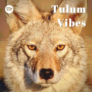 Tulum Vibes 2025 π΄