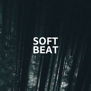 Silk beats & Synth (Brain Food, Genre Glitch, Lowkey Tech)