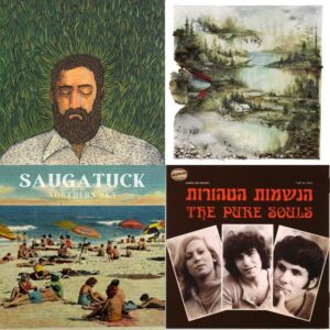 Gentle Waves: Indie Folk Reflections