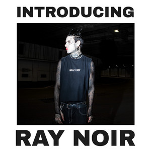 Introducing – Ray Noir