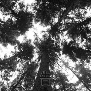 HiiRO – Tree of Sounds 2