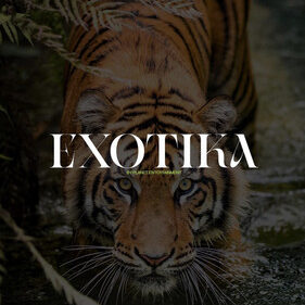 Exotika Summer Favourites