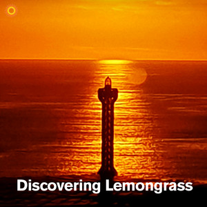 Discovering Lemongrass