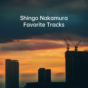 Shingo Nakamura Favorite Tracks (Deep / Chill / Progressive)