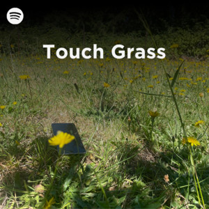 Touch Grass
