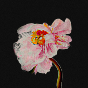 Inspiring The Flower Cartel