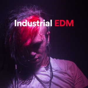 Industrial EDM
