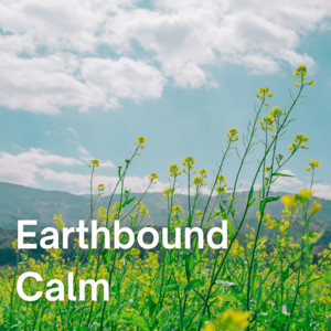 Earthbound Calm