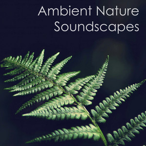 Ambient Nature Soundscapes