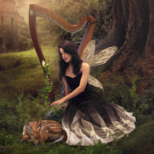 Celtic Fairies – Sweet Dreams