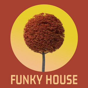 Funky House Tunes