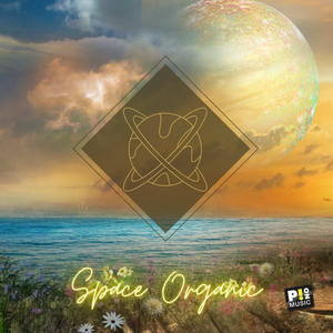SPACE ORGANIC