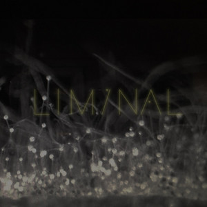 Liminal – an endless ambient mixtape curated by Jónsi, Alex Somers & Paul Corley