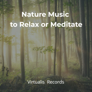 Nature Music to Relax or Meditate