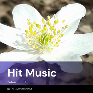Hit Music