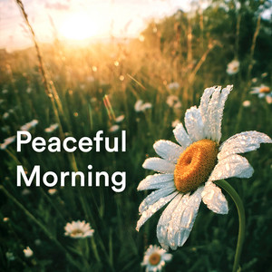 Peaceful Morning Music