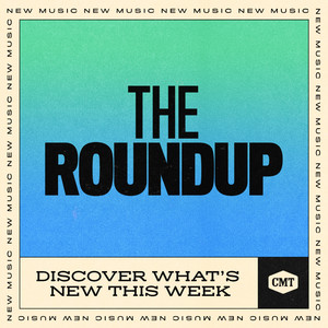 THE ROUNDUP