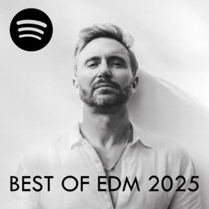 Best Of EDM 2025